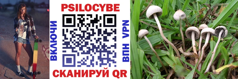 Галлюциногенные грибы MAGIC MUSHROOMS  Зерноград 