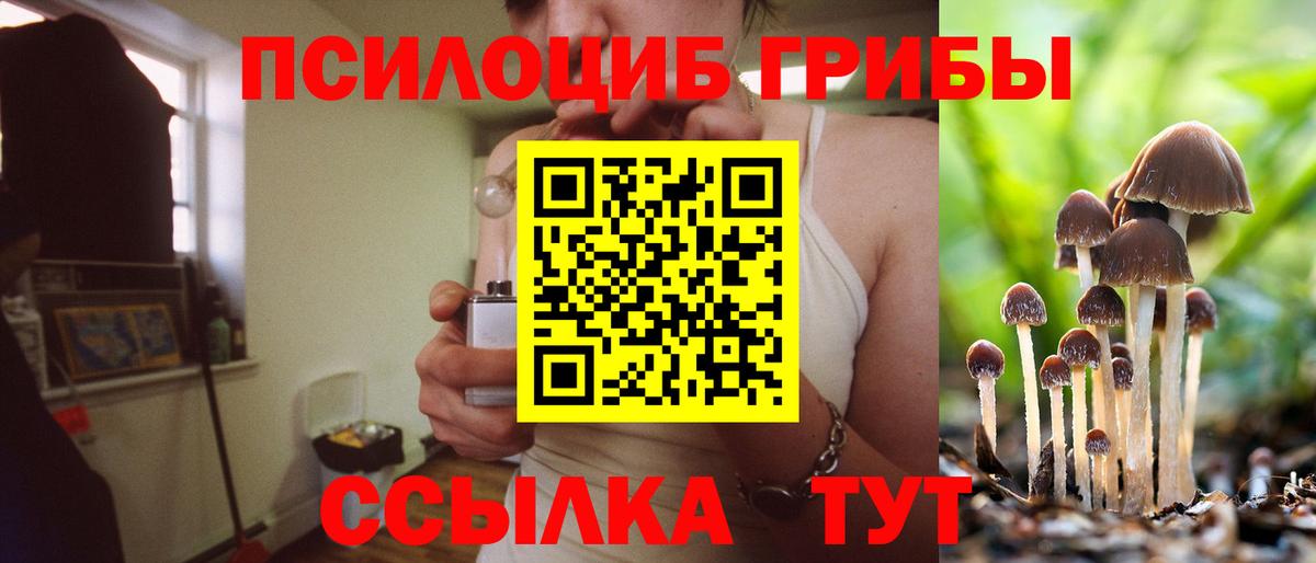 Псилоцибиновые грибы Psilocybe  Вход с VPN  Зерноград 
